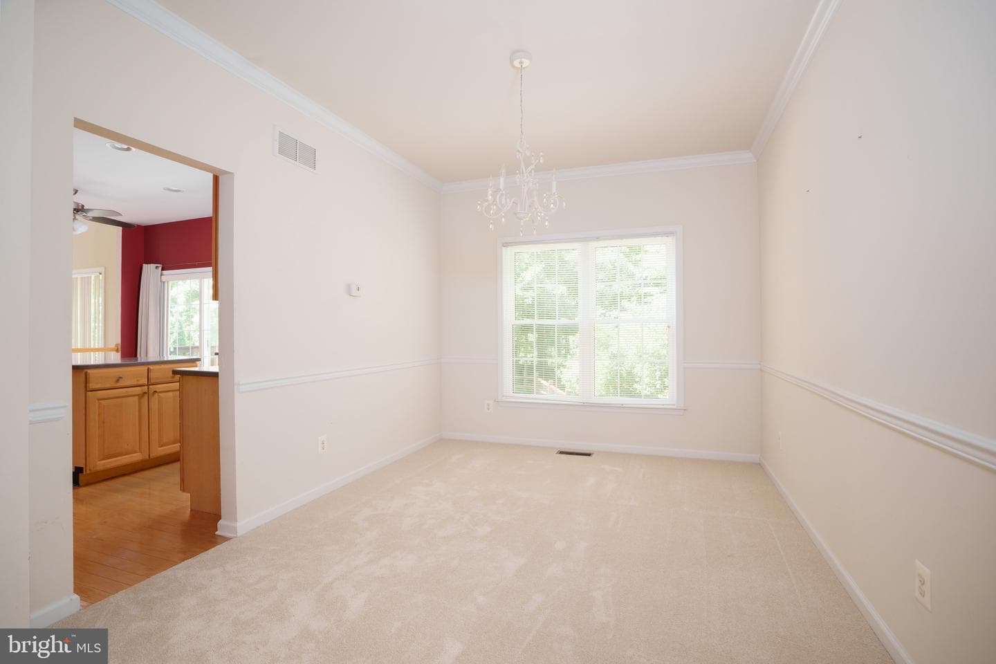 132 Thomas Jefferson Terrace photo 15