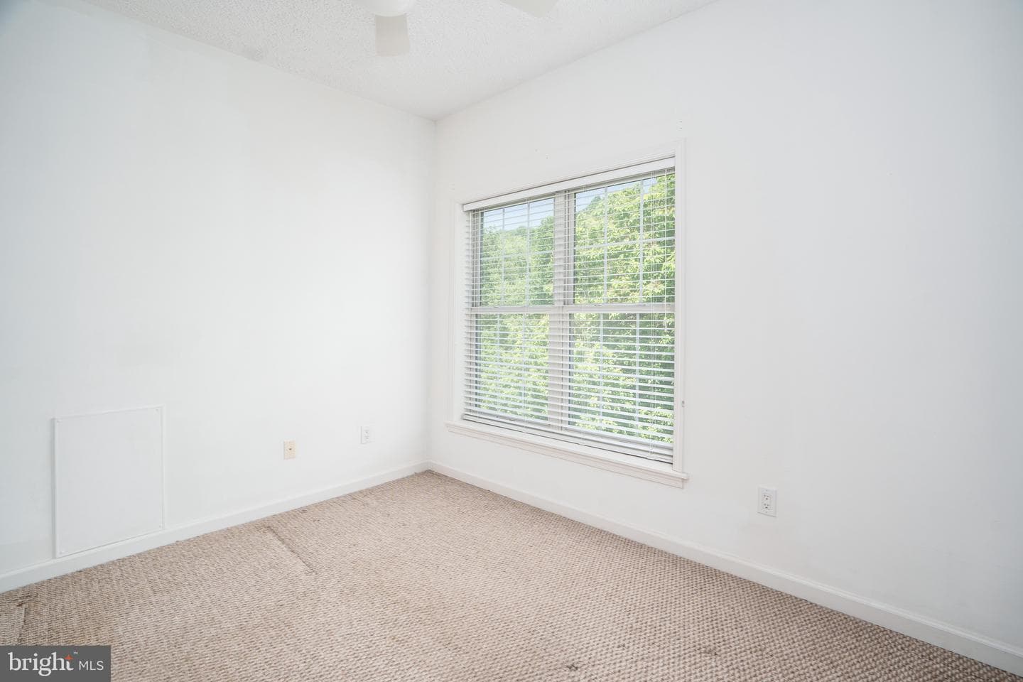 118 Rowland Dr photo 19