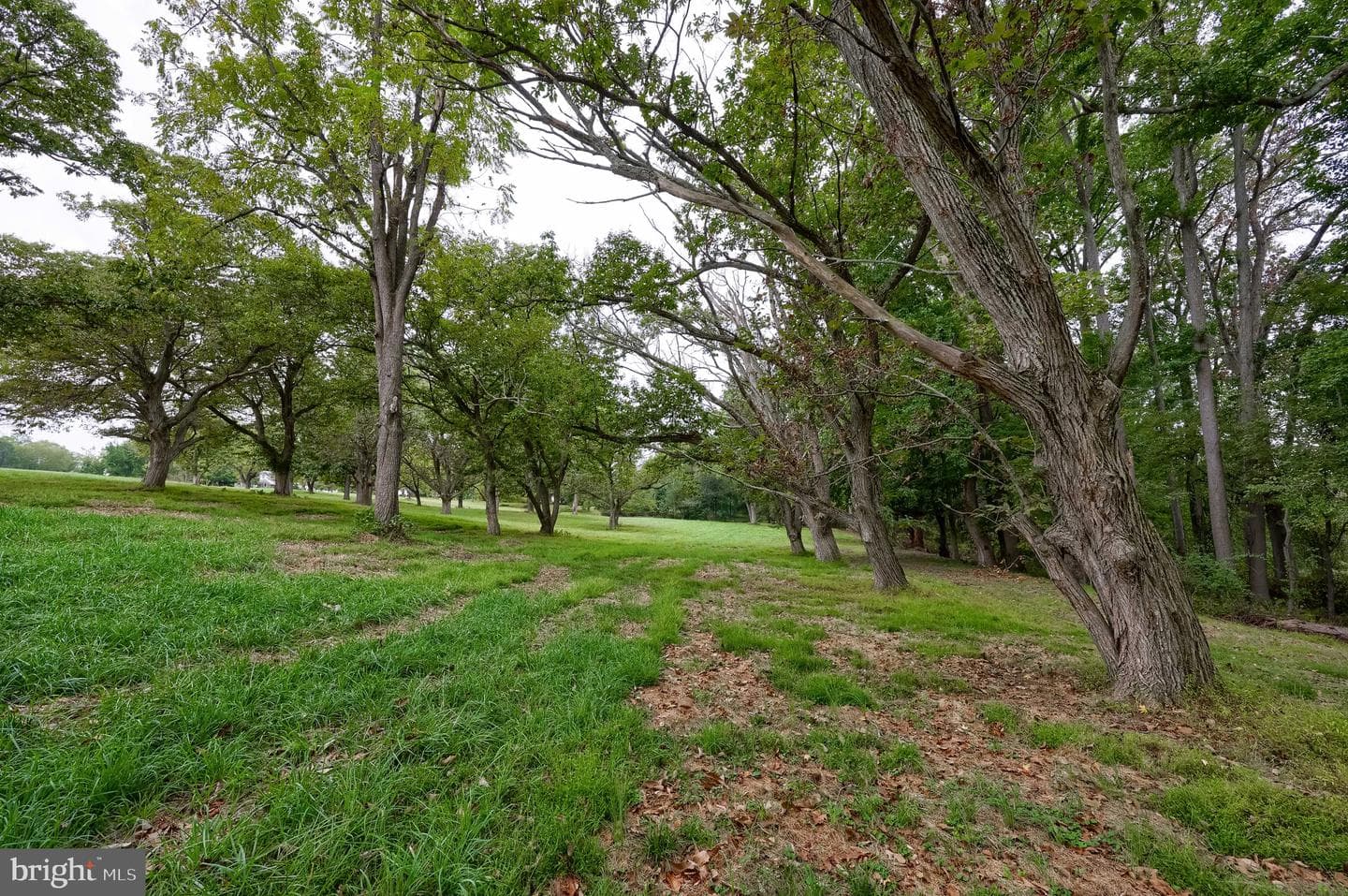 85 Green Haven Drive photo 48