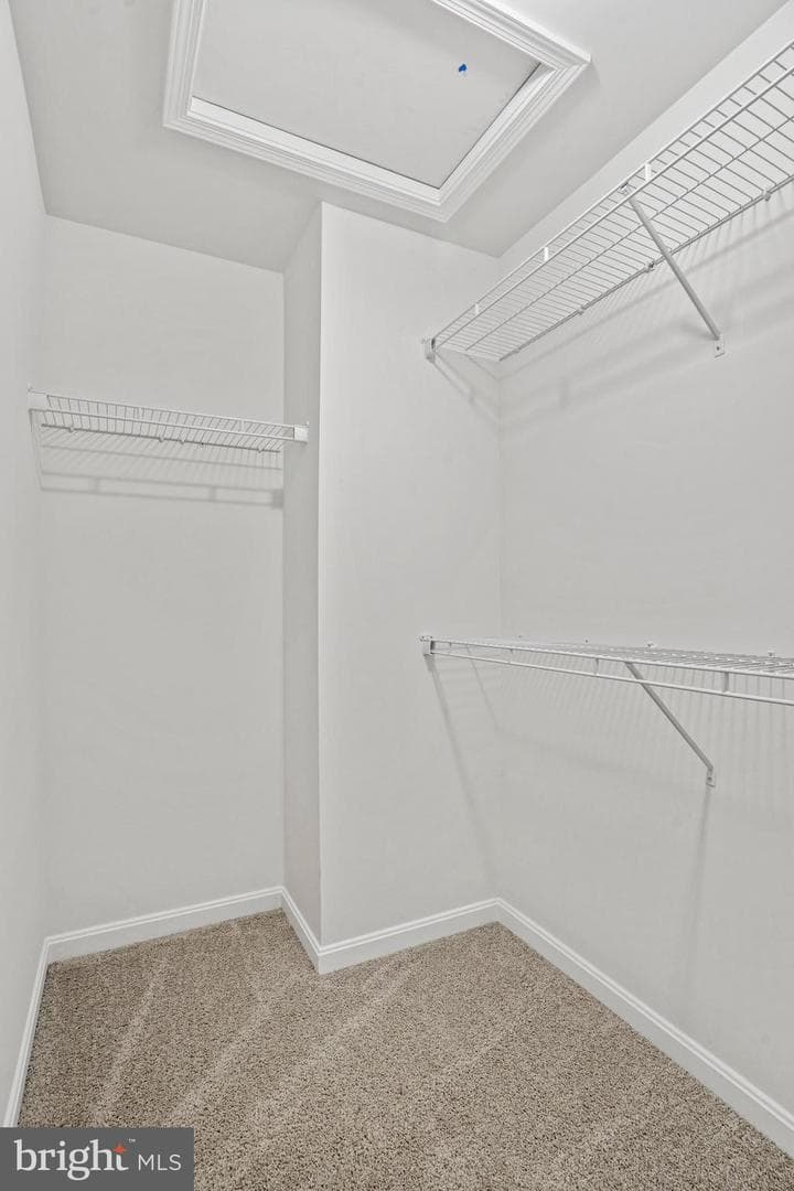 136 Catalpa Drive photo 25