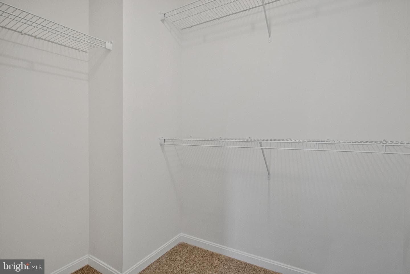 104 Catalpa Drive photo 21