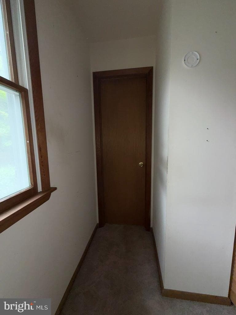 5 Brandywine Place photo 21