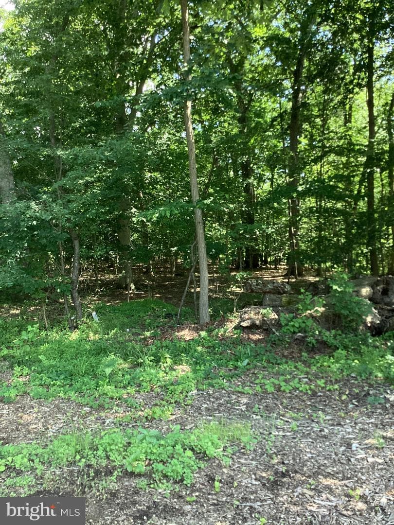 11 Wildwood Ln photo 22
