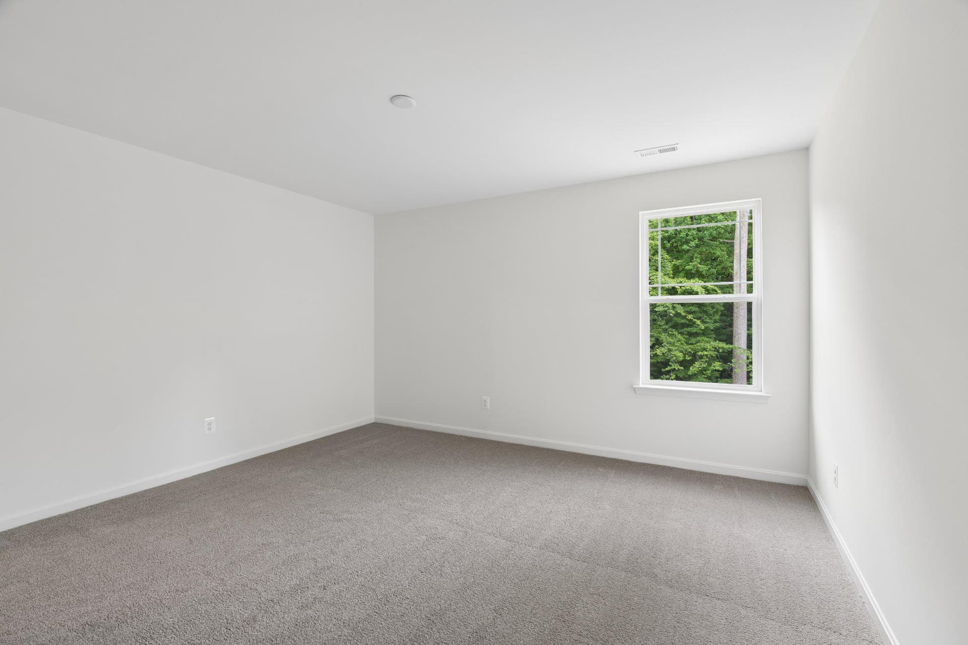 175 Fred Drive photo 26
