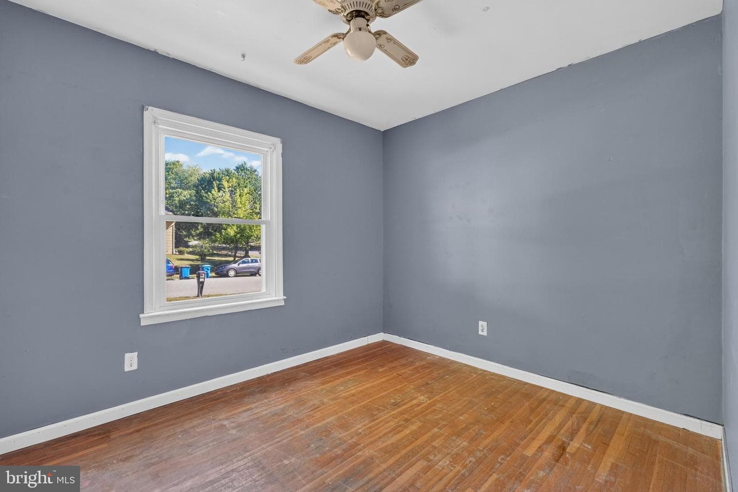 242 Courtney Drive photo 20