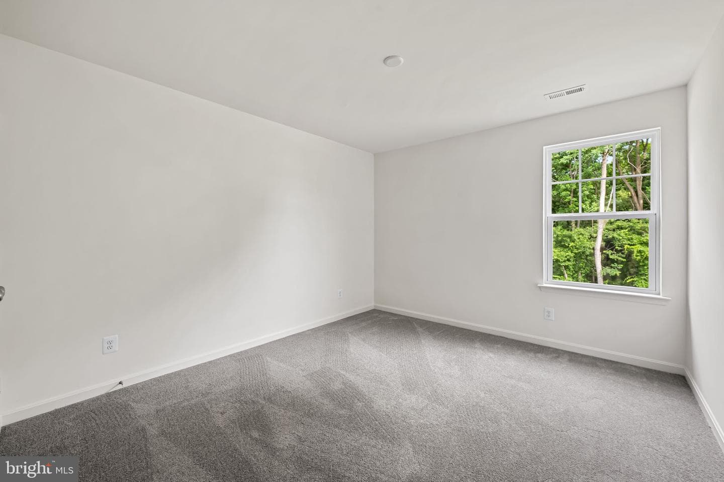 111 Nell Street photo 17