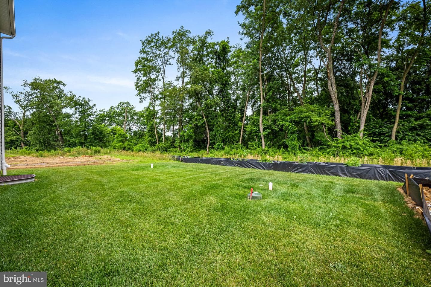 111 Nell Street photo 22