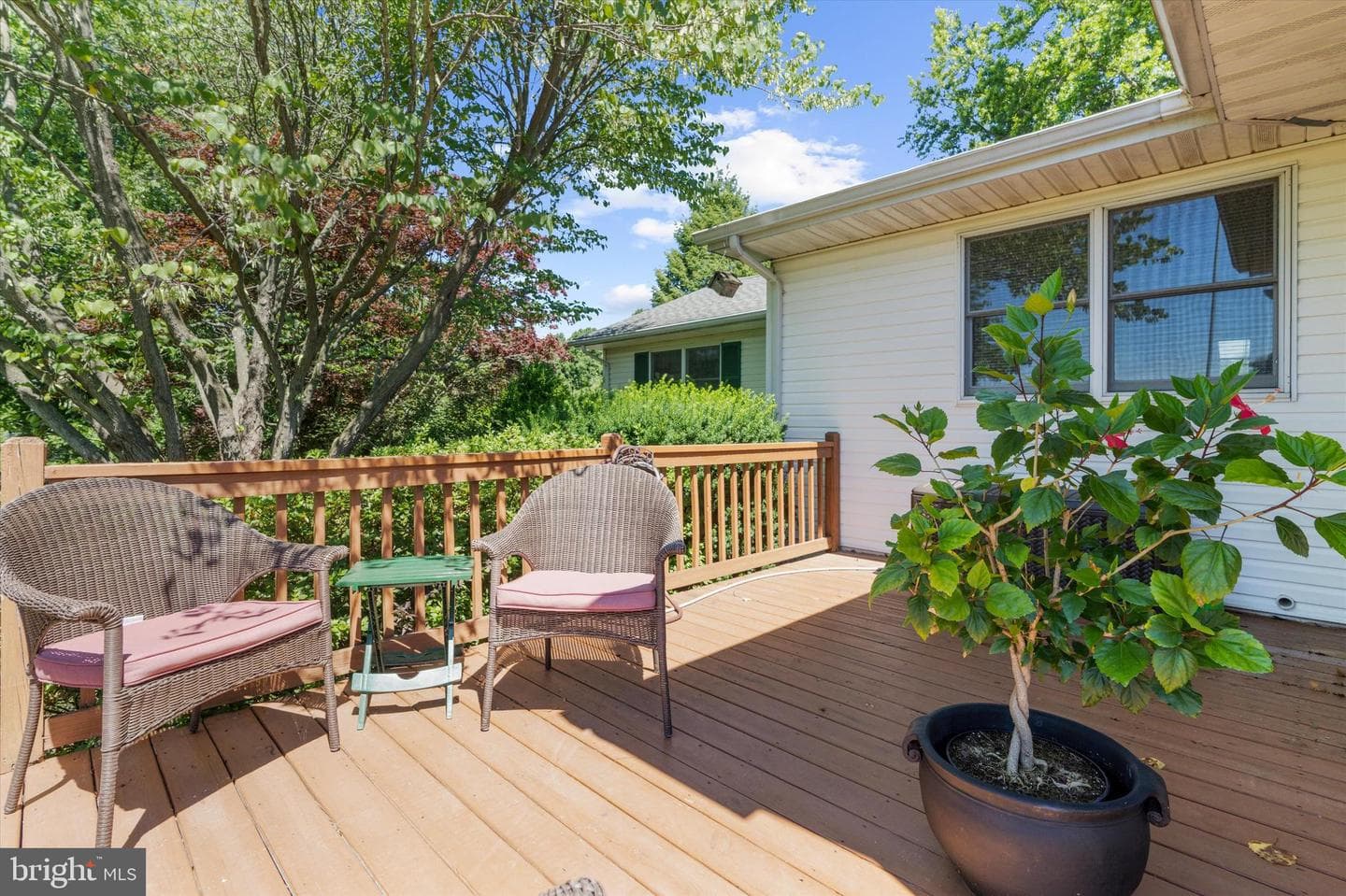 224 Tockwogh Drive photo 44