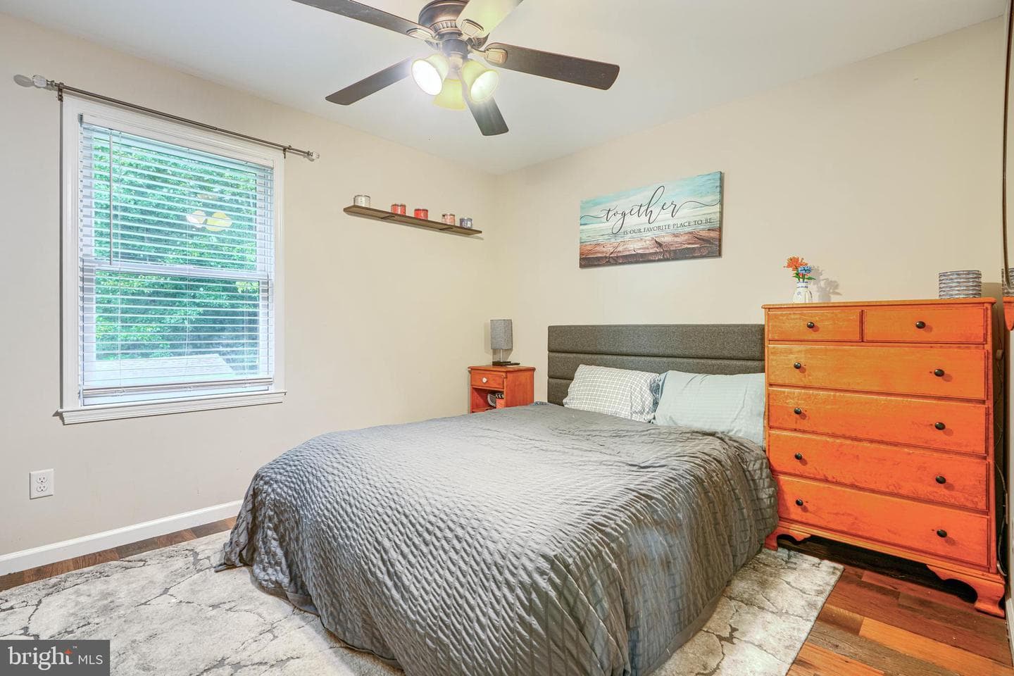 72 Catalpa Drive photo 16