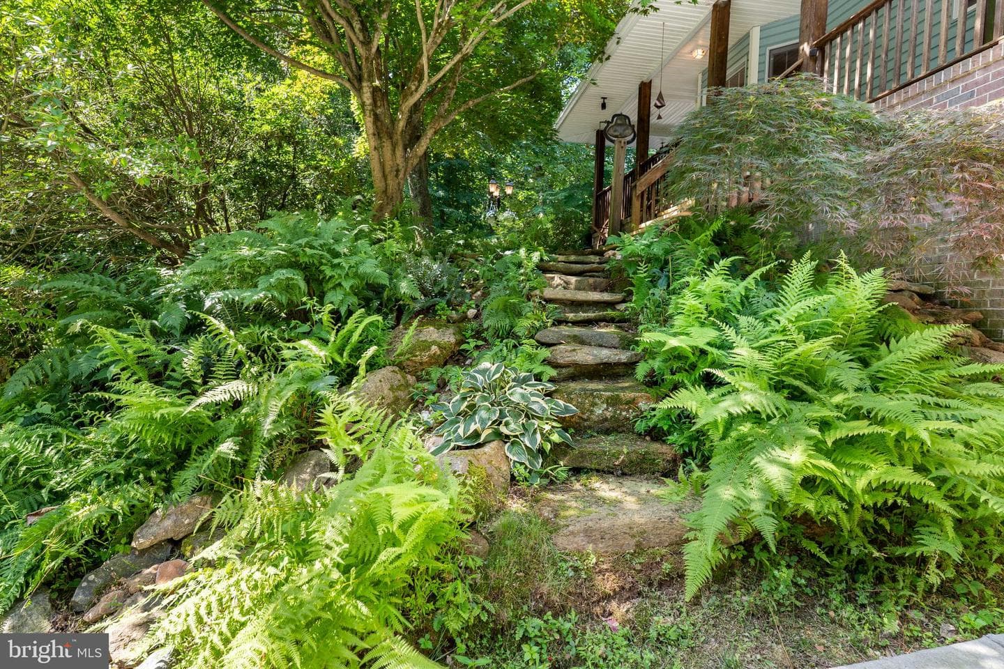 65 Calvary Road photo 41