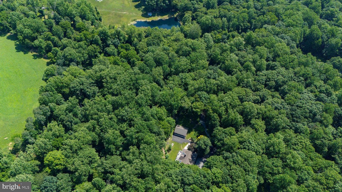 65 Calvary Road photo 43