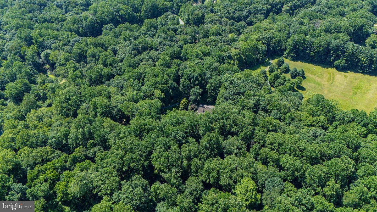 65 Calvary Road photo 44