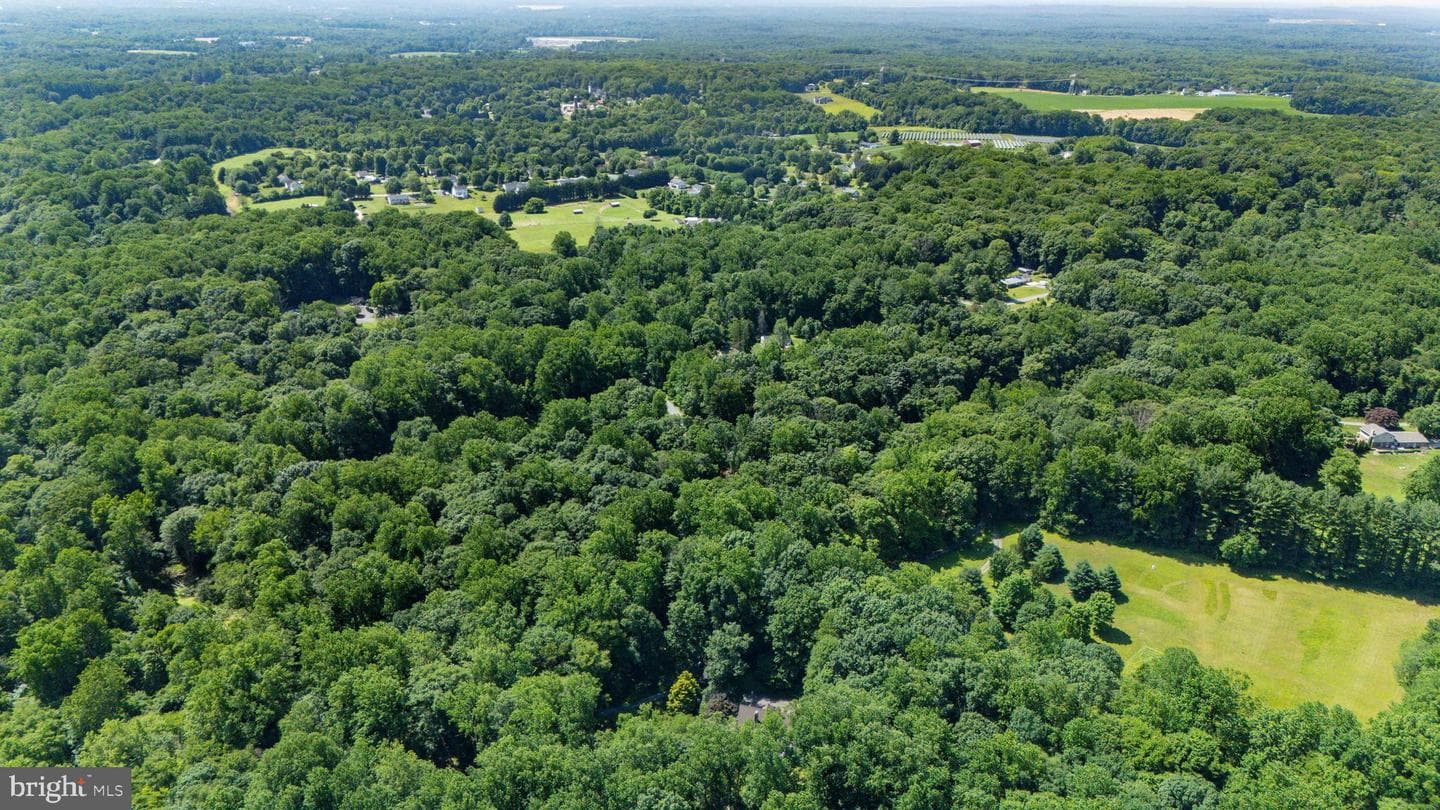 65 Calvary Road photo 45