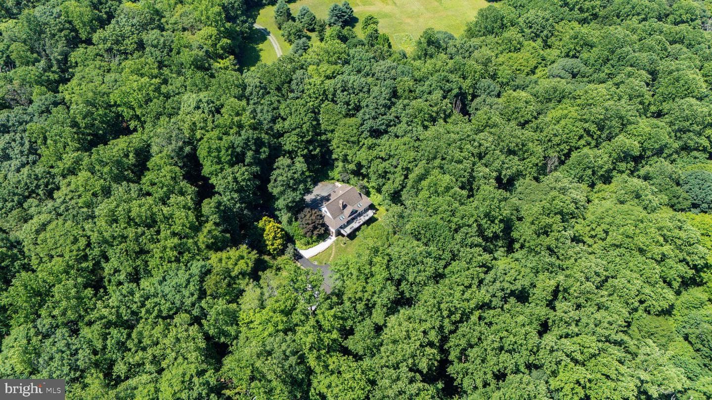 65 Calvary Road photo 46