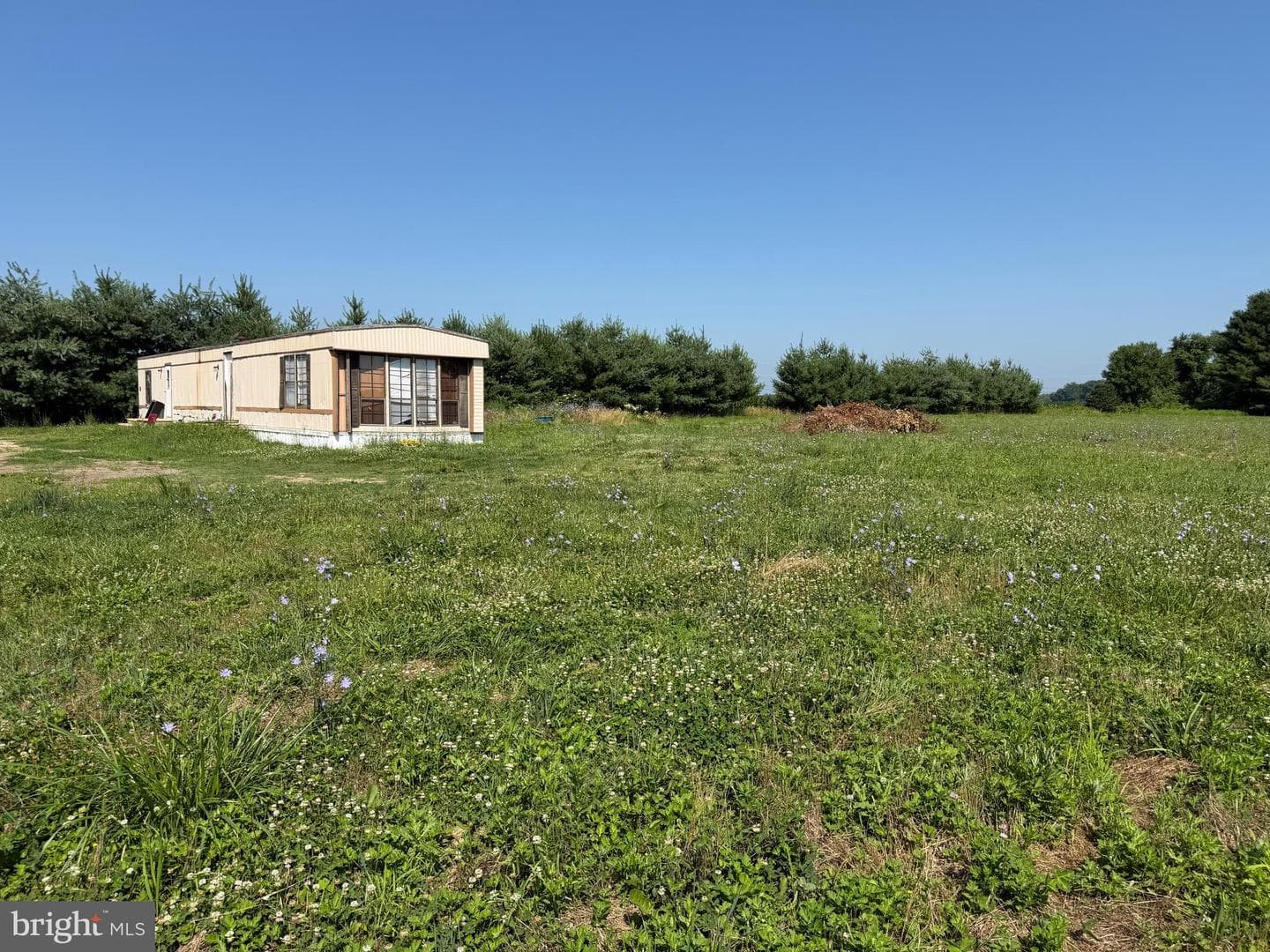 42 Lamborn Lane photo 16