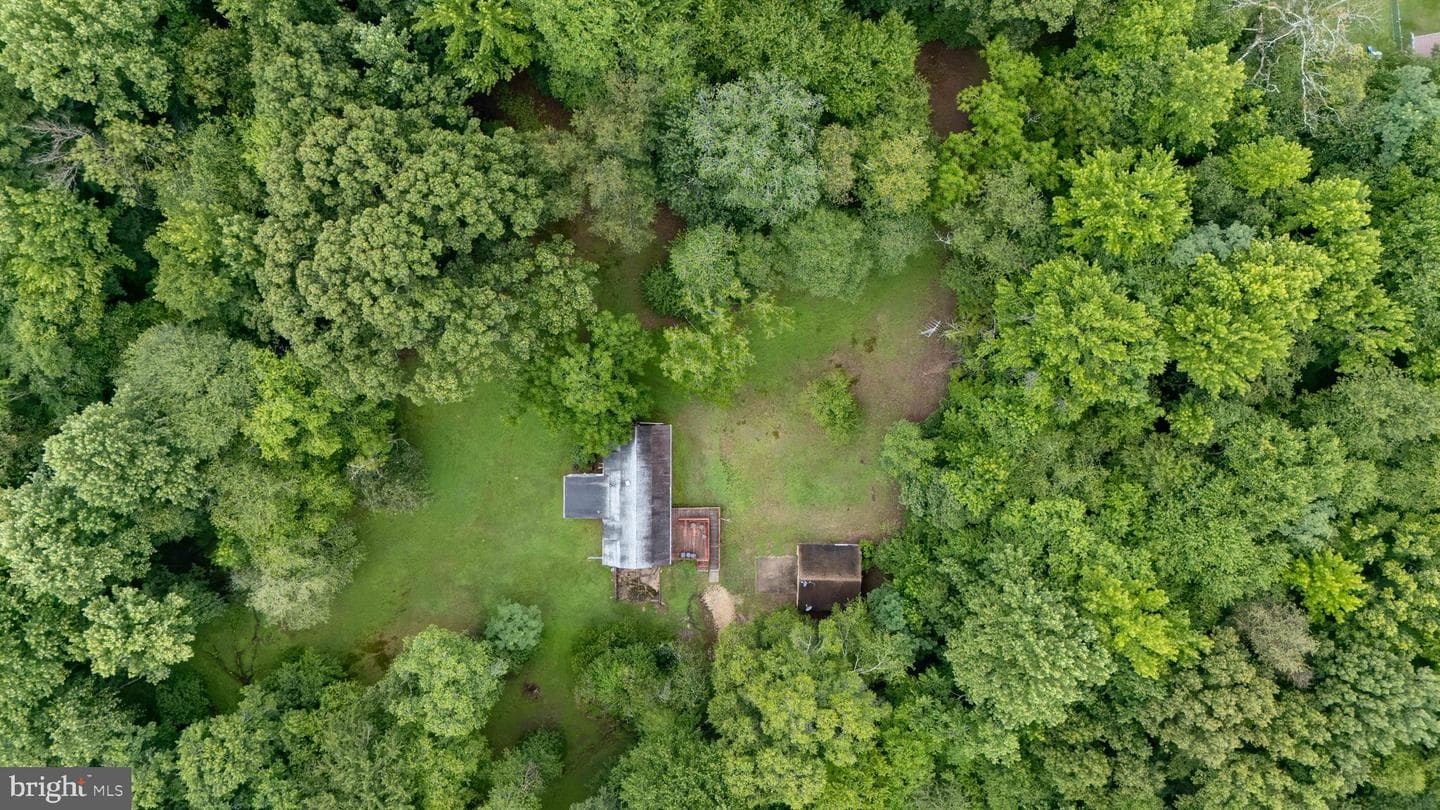 906 Old Elk Neck Road photo 9
