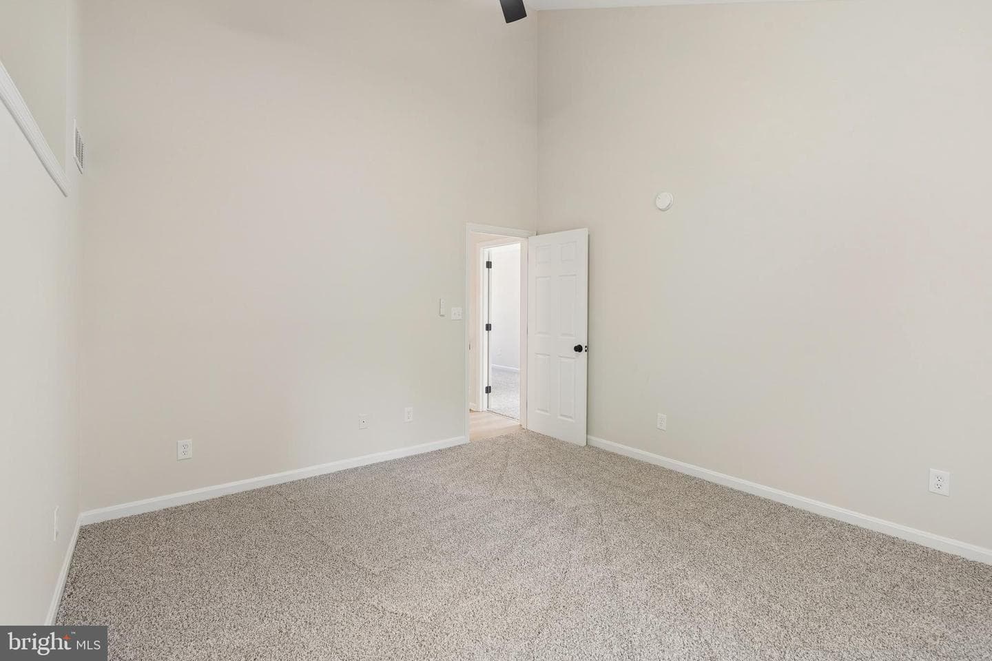 224 W Cecil Avenue photo 52