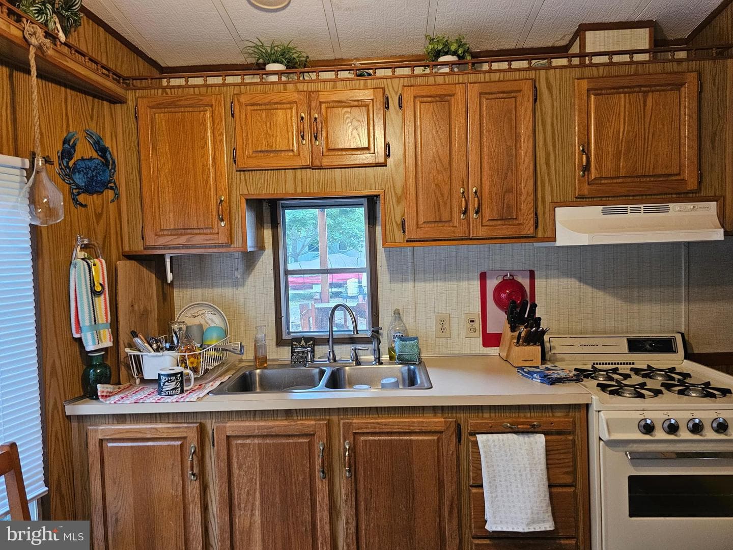 203,202 Oklawaha Lane #glen 9 photo 4