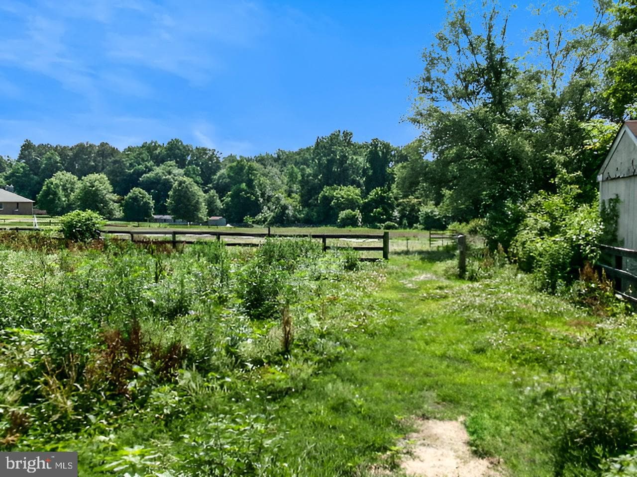 43 Frances Drive photo 11