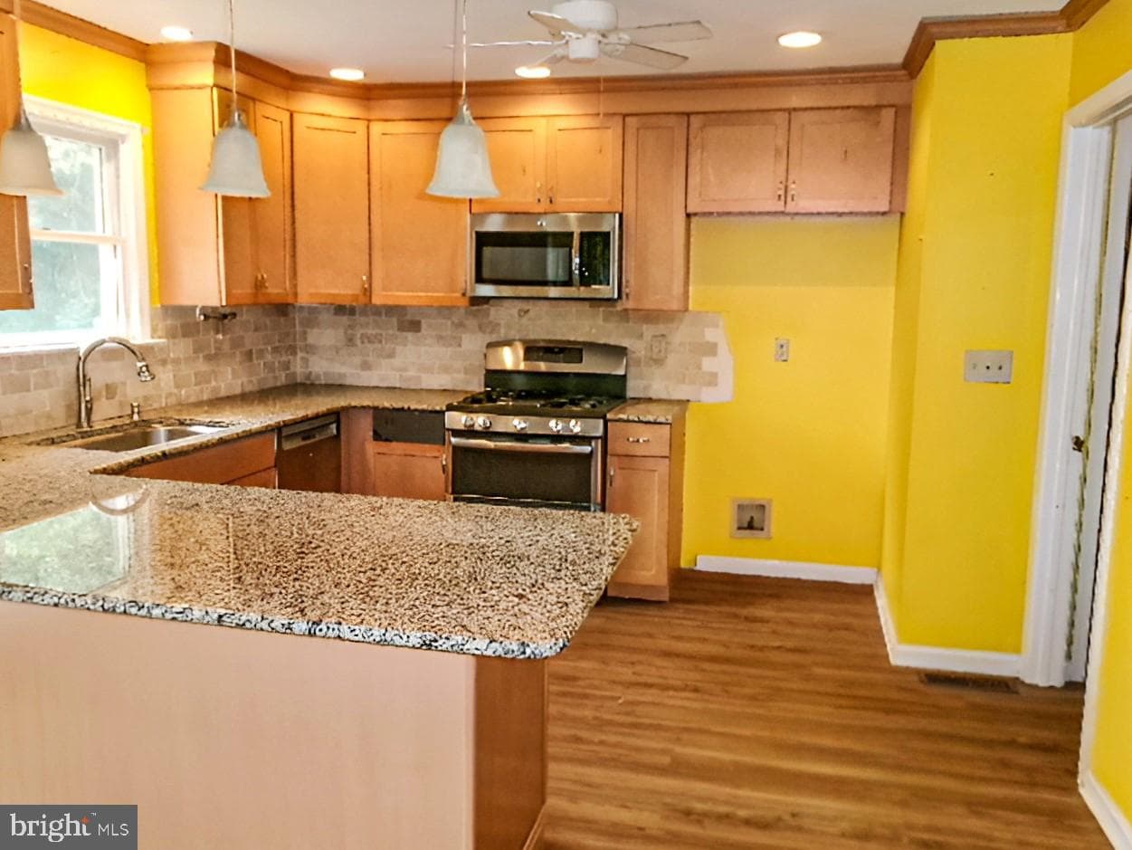 43 Frances Drive photo 23