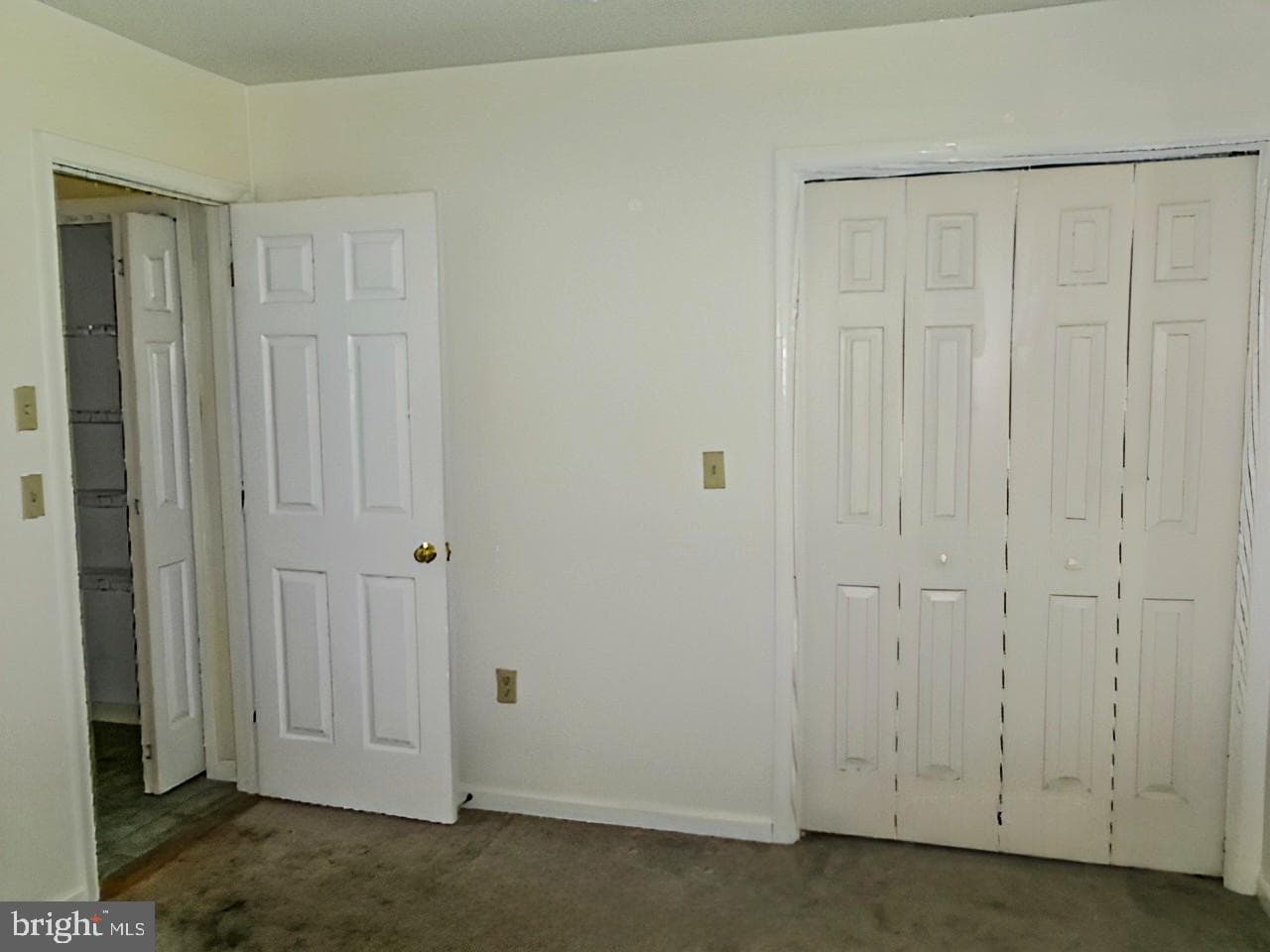 43 Frances Drive photo 29