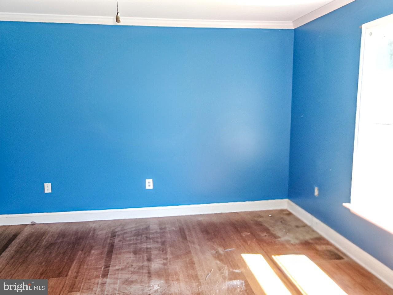 43 Frances Drive photo 32