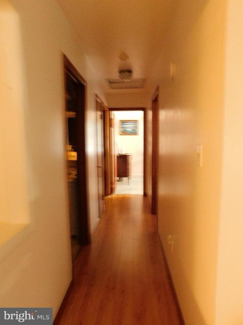 40 Mary Jane Lane photo 5
