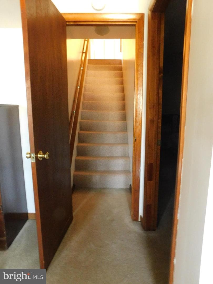 40 Mary Jane Lane photo 64