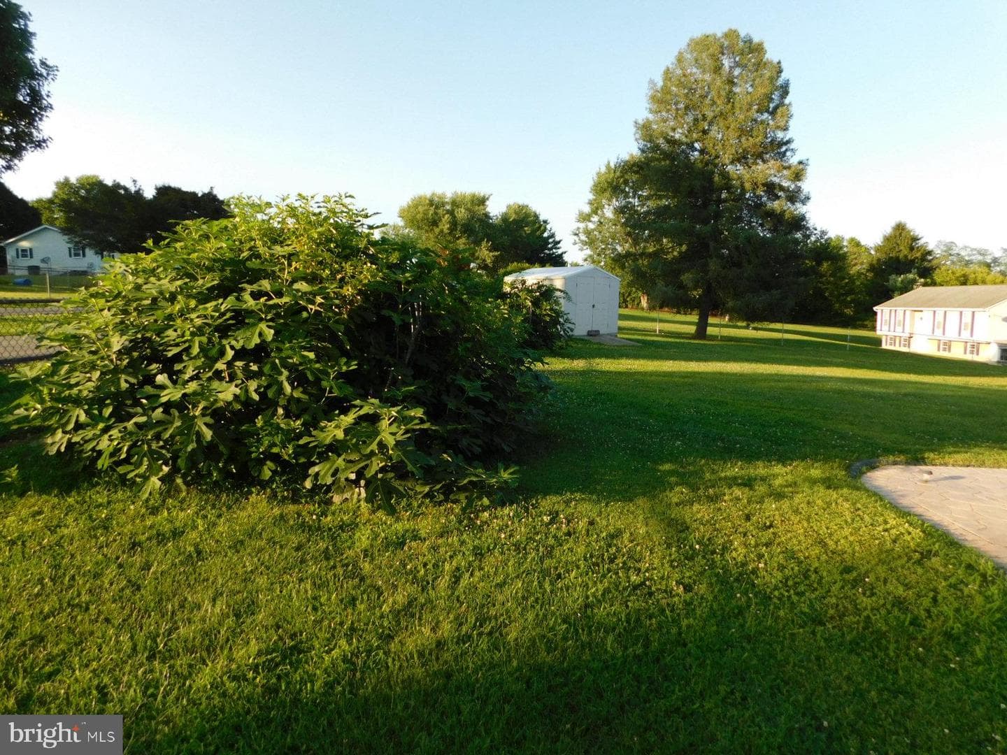 40 Mary Jane Lane photo 77