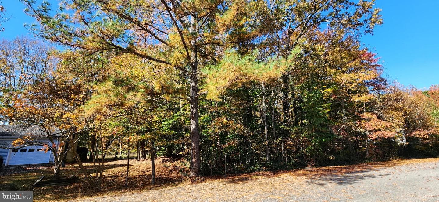 405 Crabapple Court photo 59