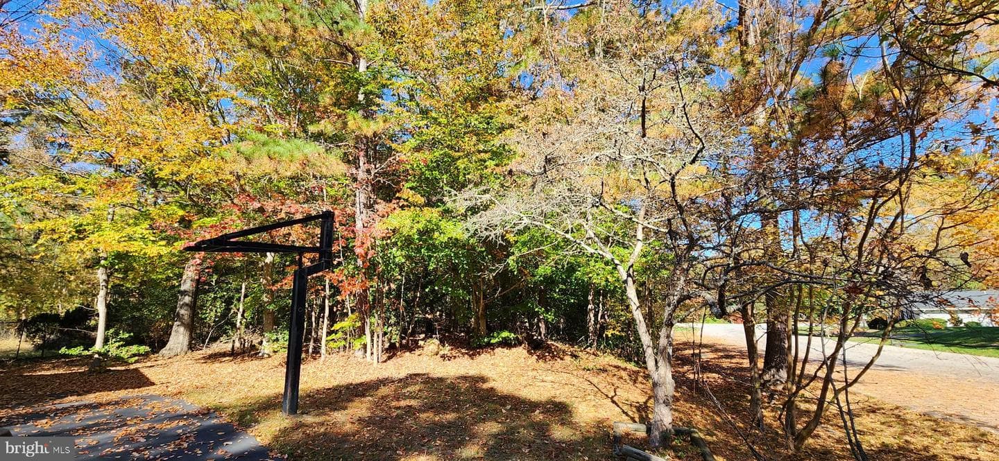 405 Crabapple Court photo 60