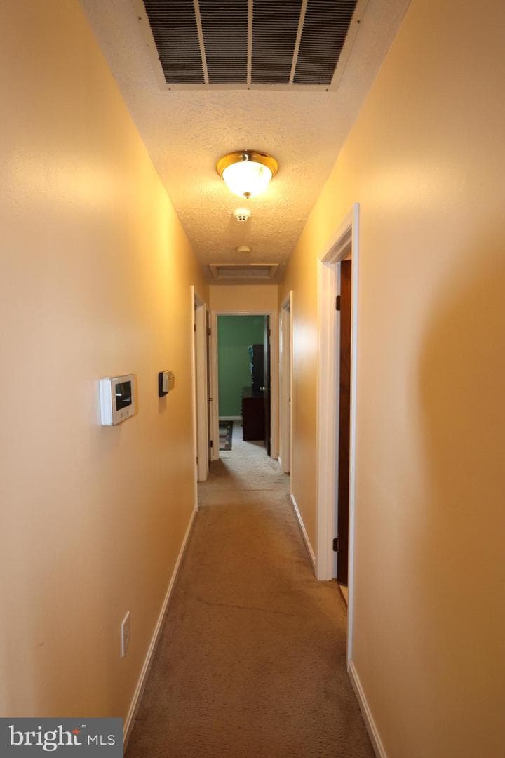 10921 Bridle Path Circle photo 16