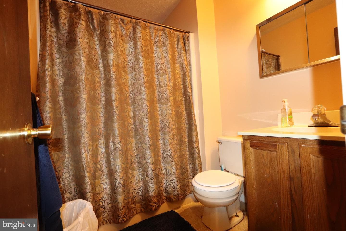 10921 Bridle Path Circle photo 17