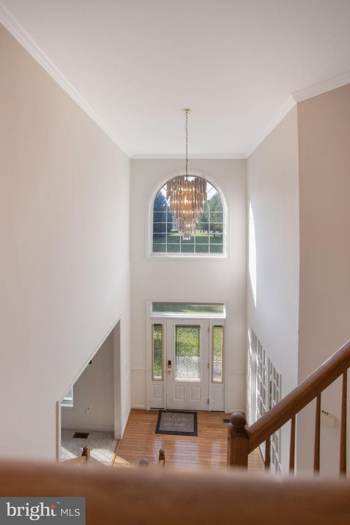 8940 Bridgett Lane photo 21