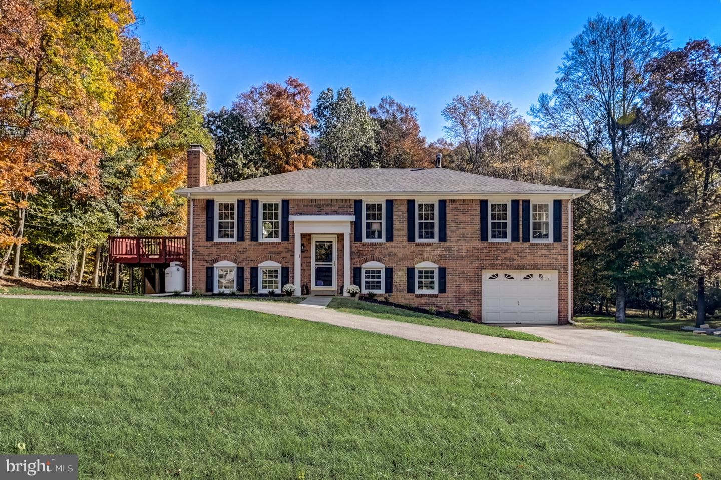 9233 Mimosa Drive photo 4