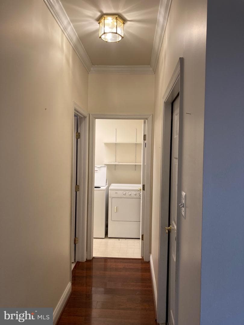 114 Burning Bush Place photo 30