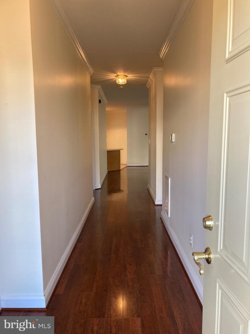 114 Burning Bush Place photo 8