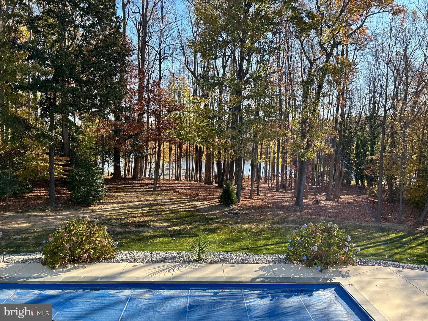14908 Durham Ranger Place photo 85