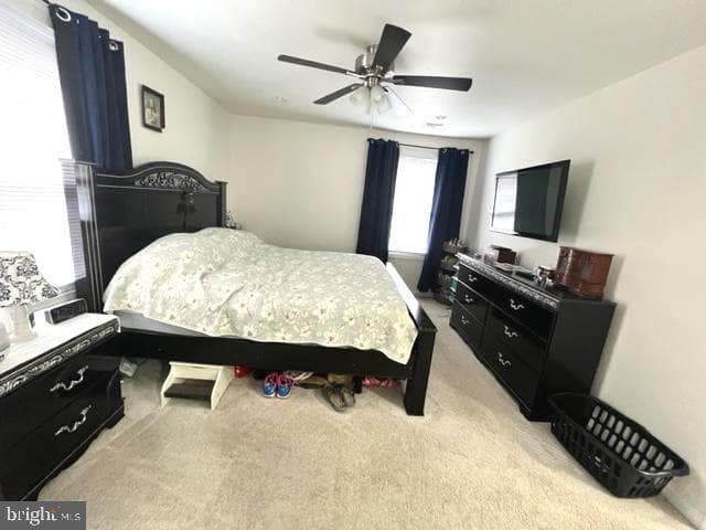 930 Copley Avenue photo 11