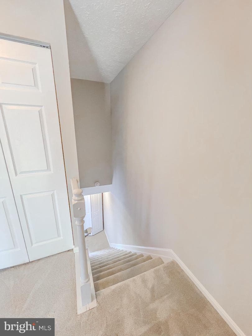 14 Meadowside Court photo 21