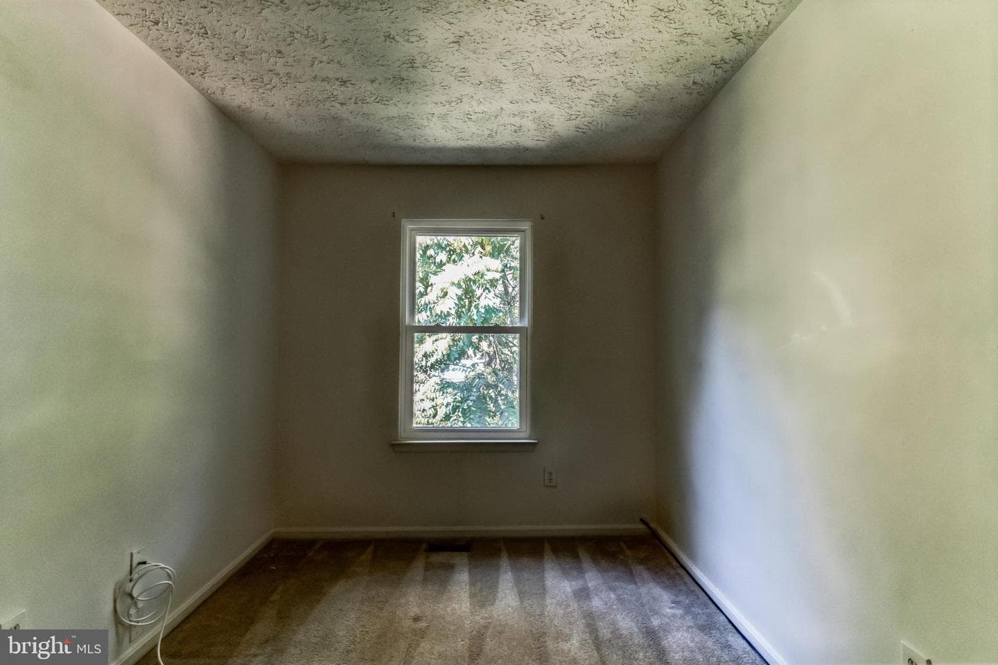 9 Dove Tree Court photo 12