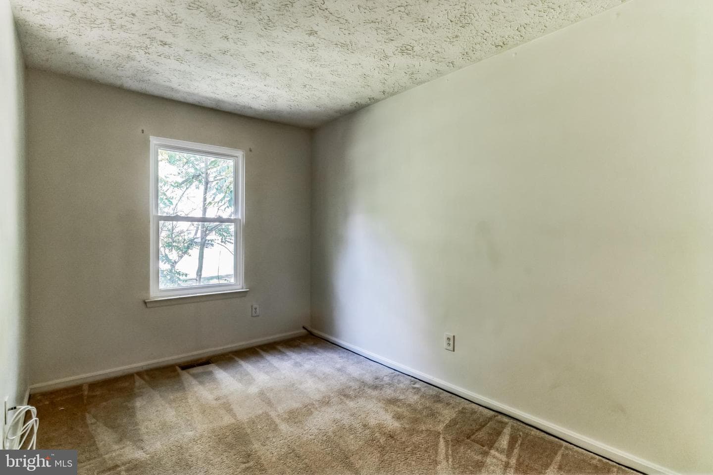 9 Dove Tree Court photo 14