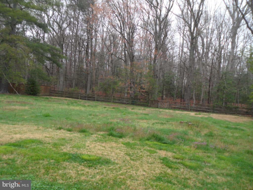 5016 Skylark Drive photo 15
