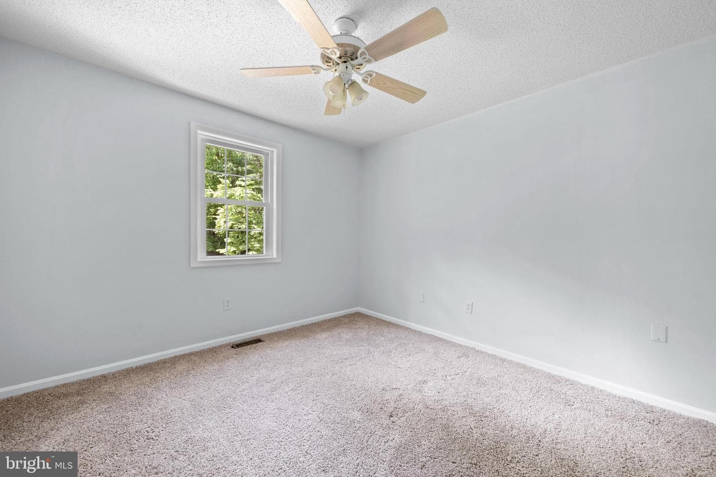 8744 Cooksey Road photo 22