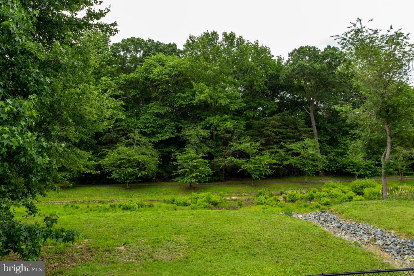 12317 Burning Oak Court photo 48