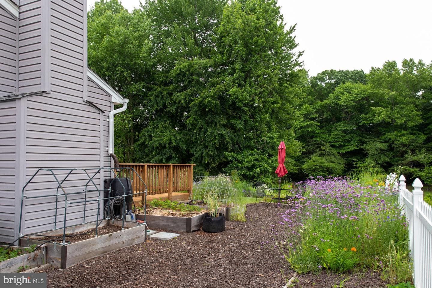 12317 Burning Oak Court photo 50