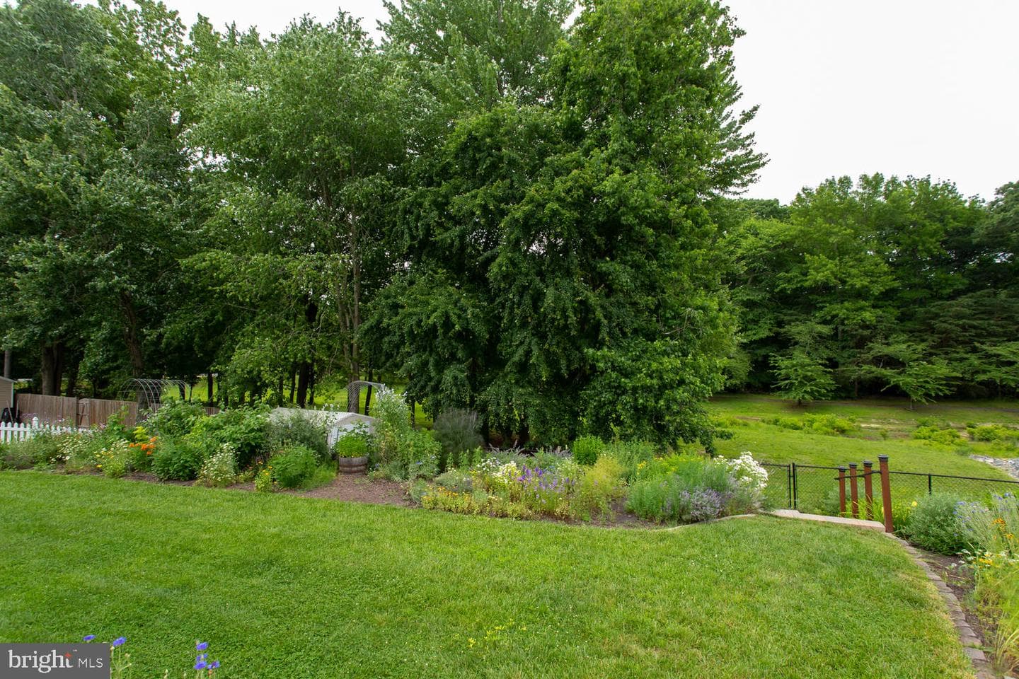 12317 Burning Oak Court photo 55