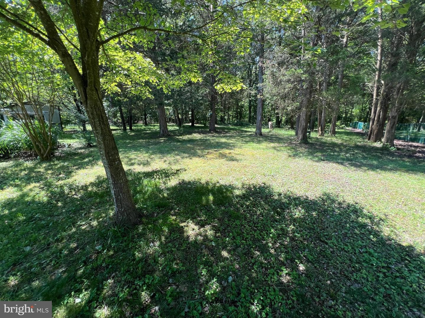 8325 Warren Drive photo 19