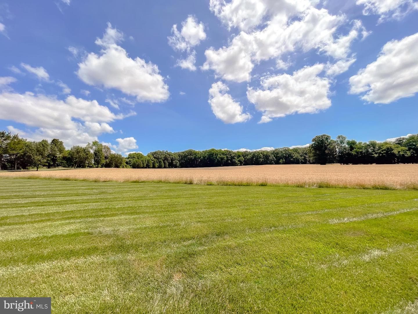 9980 Winding Creek Place photo 73
