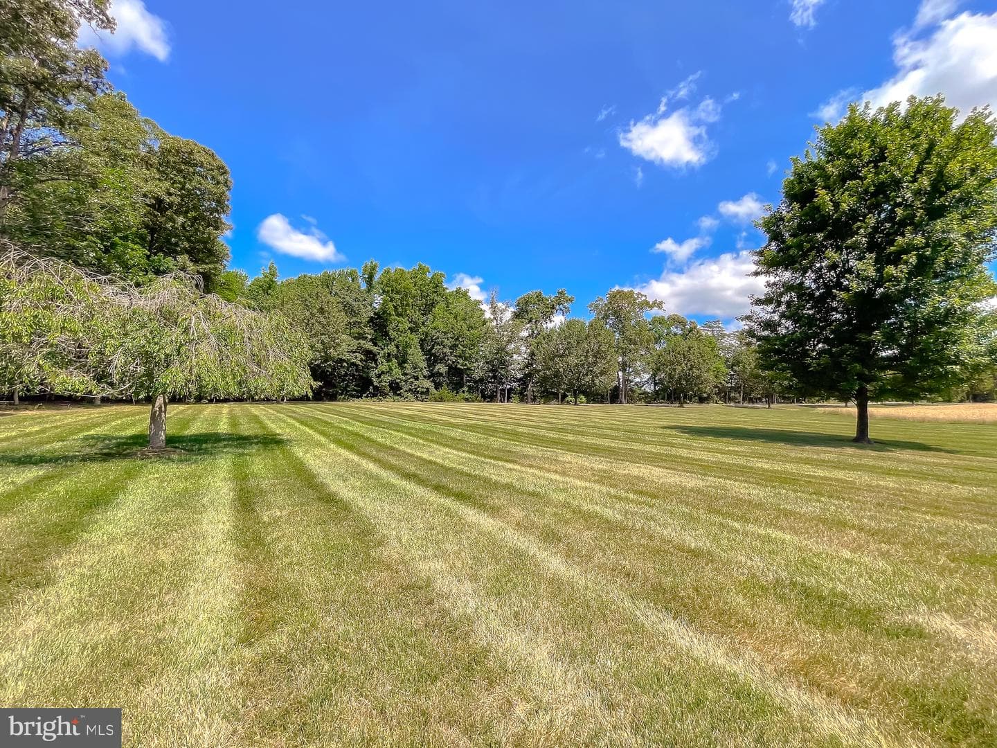 9980 Winding Creek Place photo 74
